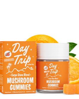 Day Trip Mushroom Gummies